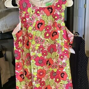 Pappagallo Pink and Green Floral Dress